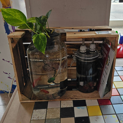Micro-AcquaponicWorld